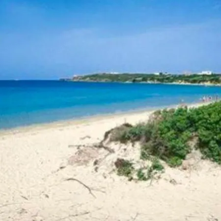 A Creuza De Ma * Palau
